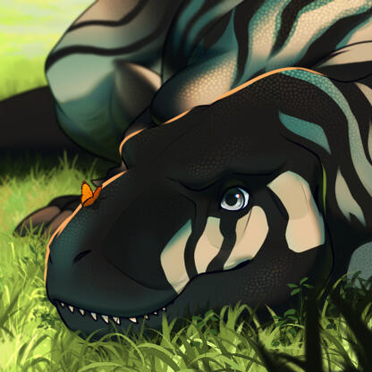 My character, Accalia